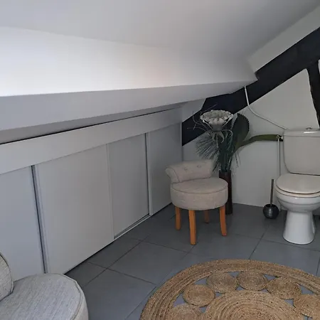 Lägenhet Grand Duplex Spacieux En Maison De Dijon