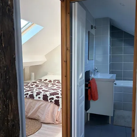 Grand Duplex Spacieux En Maison De *