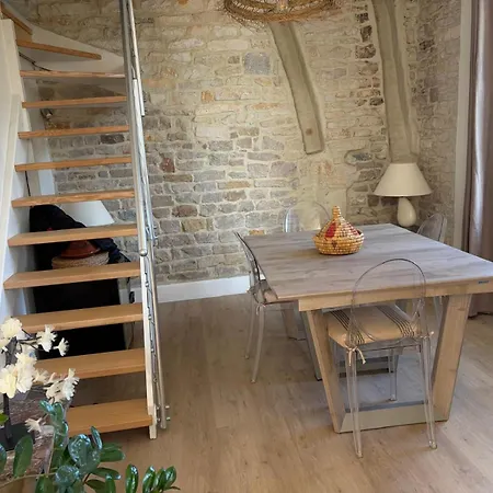 Grand Duplex Spacieux En Maison De Dijon