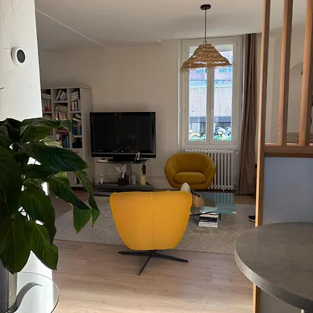 شقة Grand Duplex Spacieux En Maison De ديجون