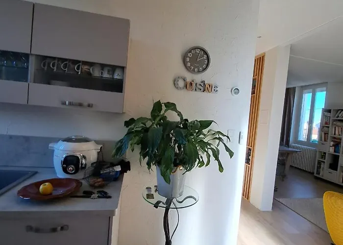 Grand Duplex Spacieux En Maison De Dijon