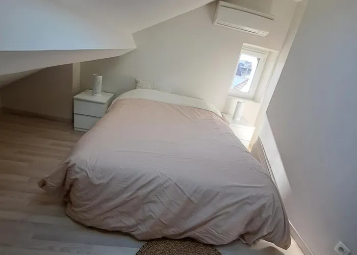 Grand Duplex Spacieux En Maison De Dijon