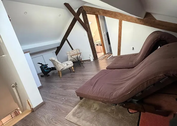 Grand Duplex Spacieux En Maison De *