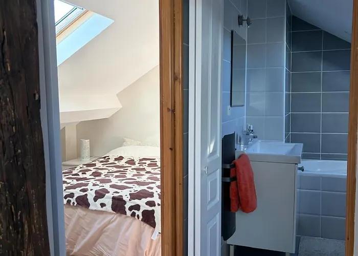 Grand Duplex Spacieux En Maison De *