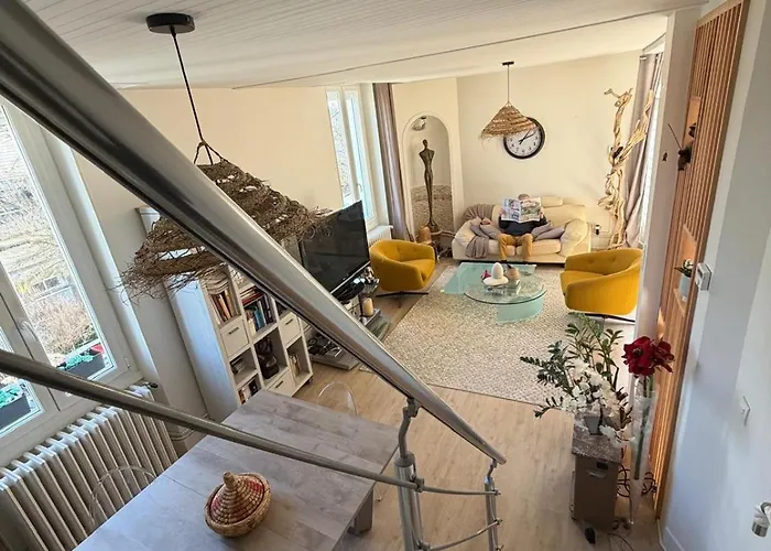 Grand Duplex Spacieux En Maison De * Dijon