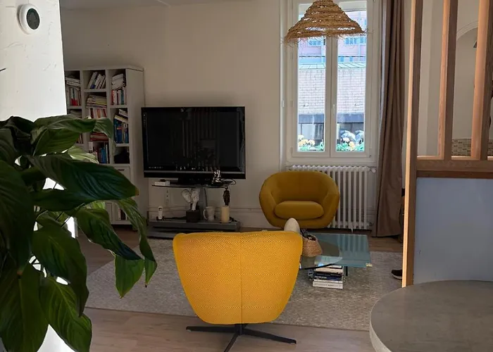 Apartment Grand Duplex Spacieux En Maison De Dijon