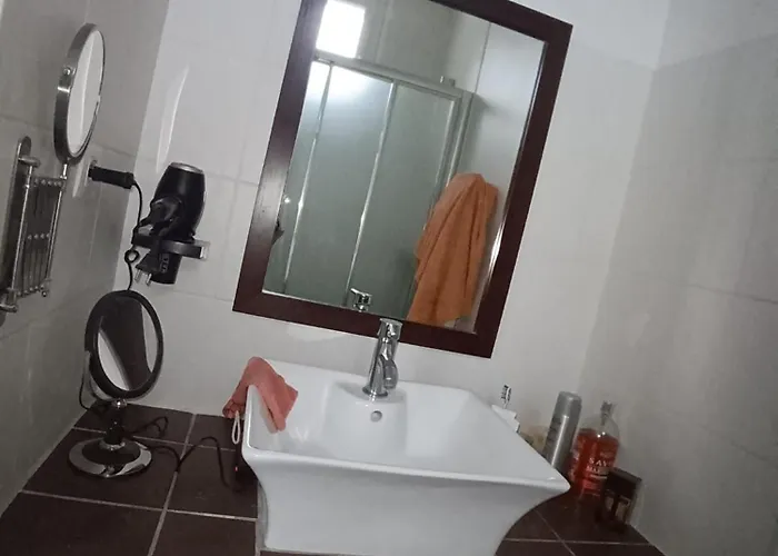 Grand Duplex Spacieux En Maison De * Dijon